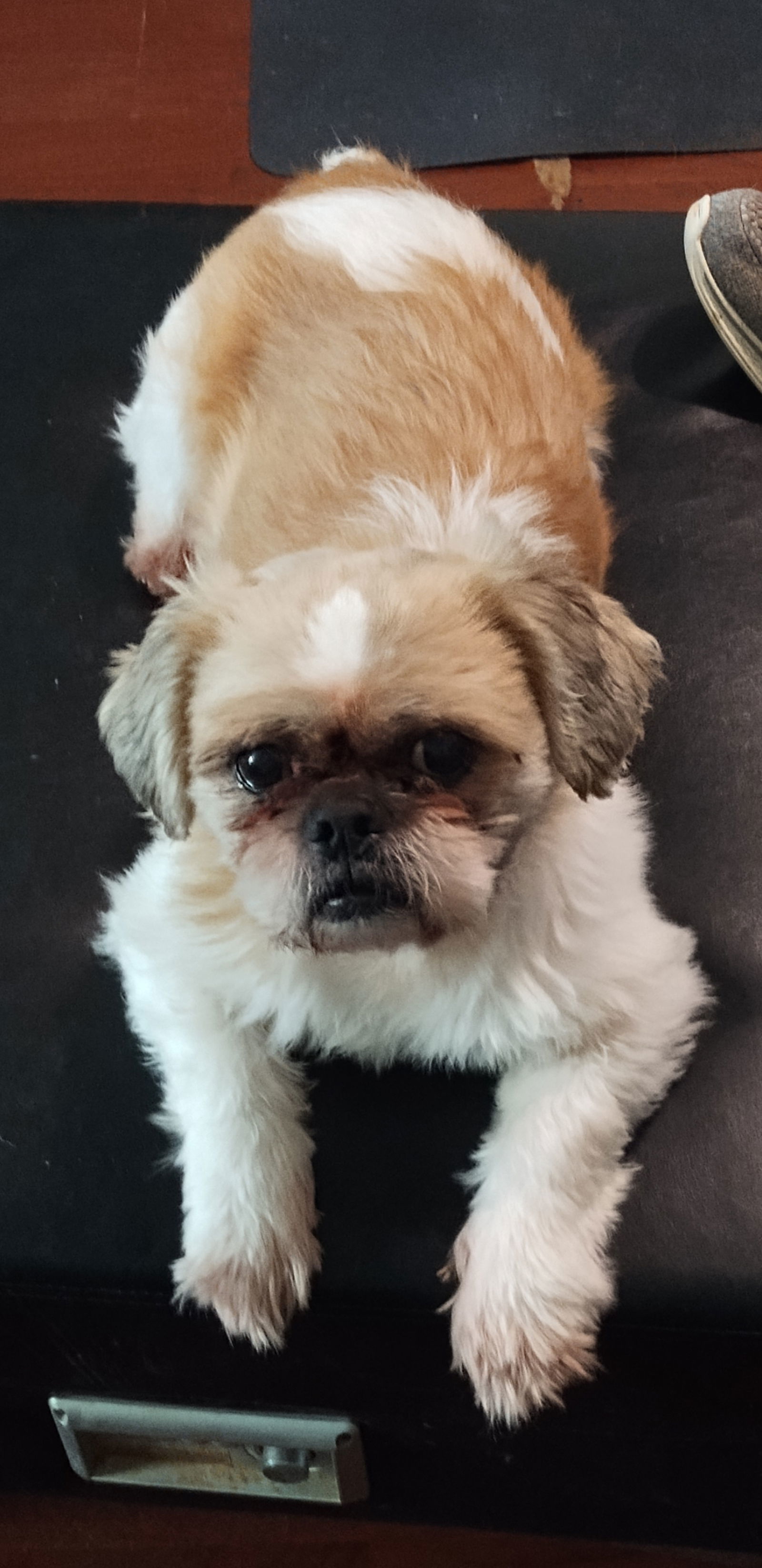 Pete
