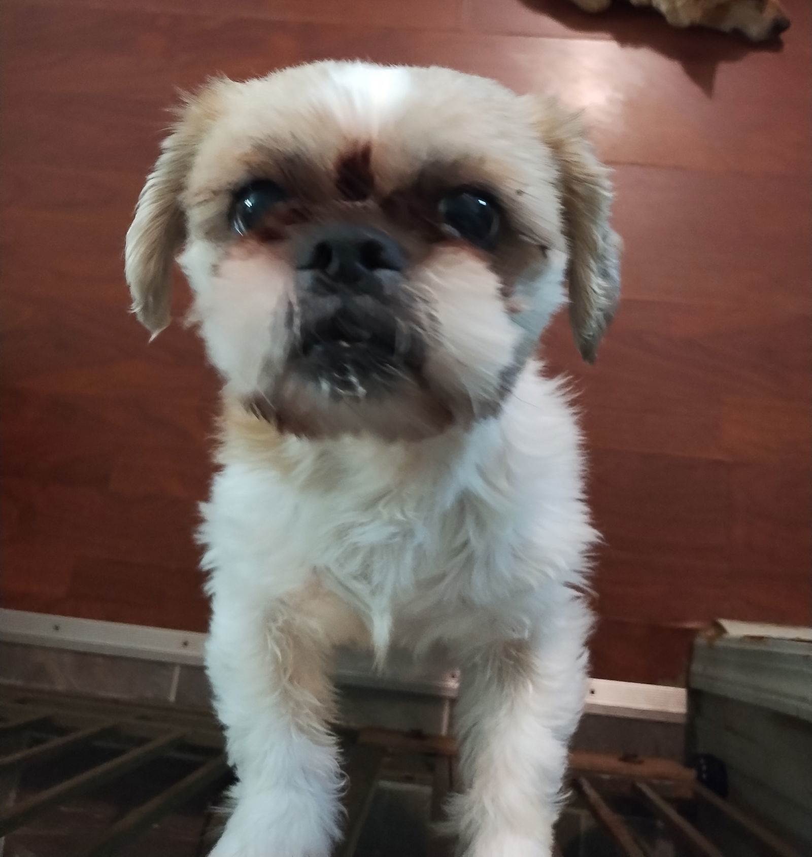Pete