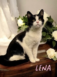 Lena 124514