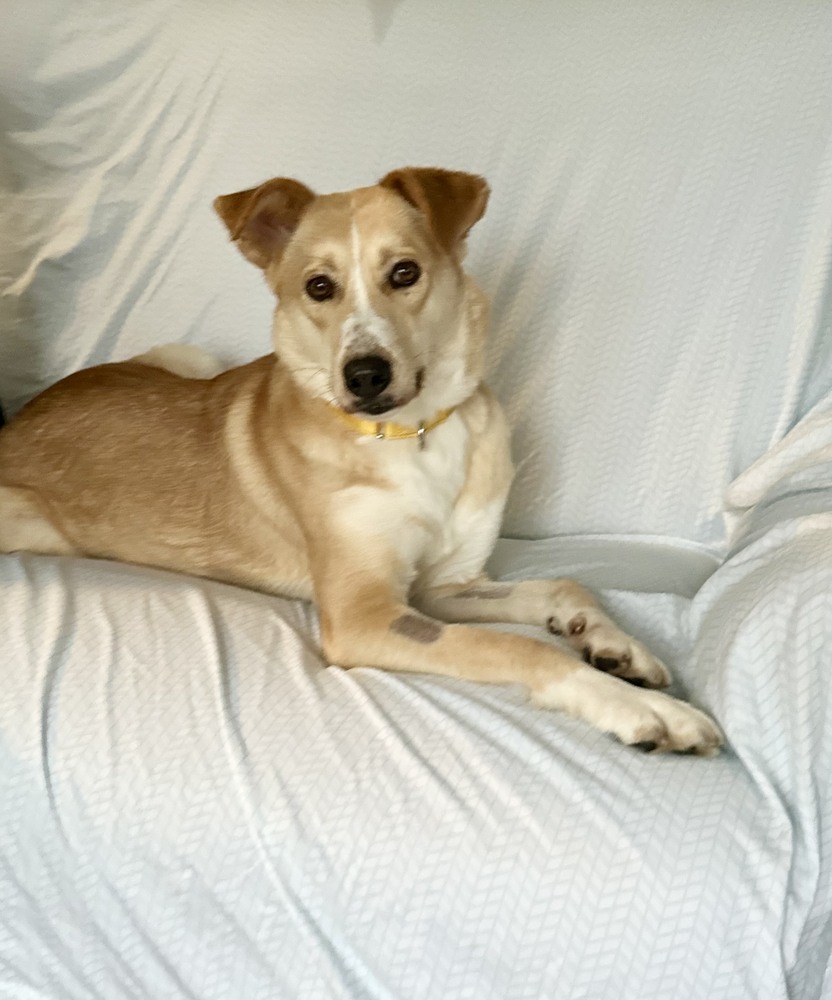 Sally the Sweetheart