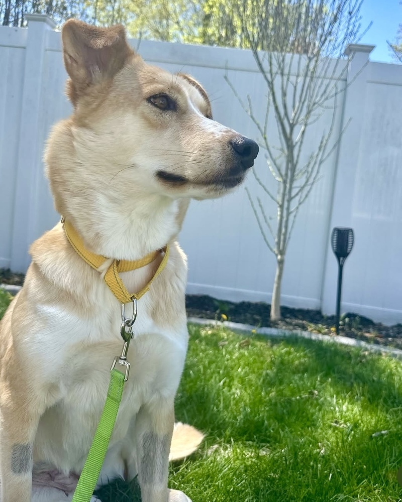 Sally the Sweetheart