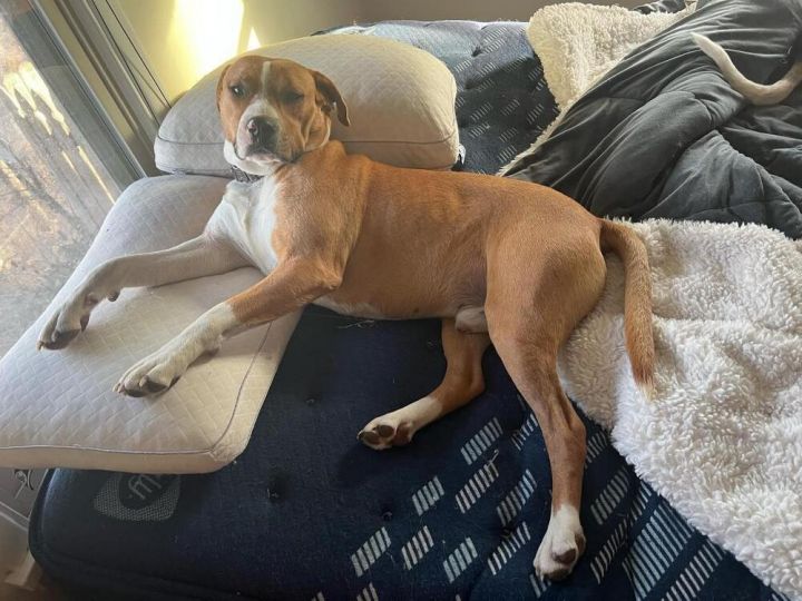 Dayton - fostered in Omaha 1