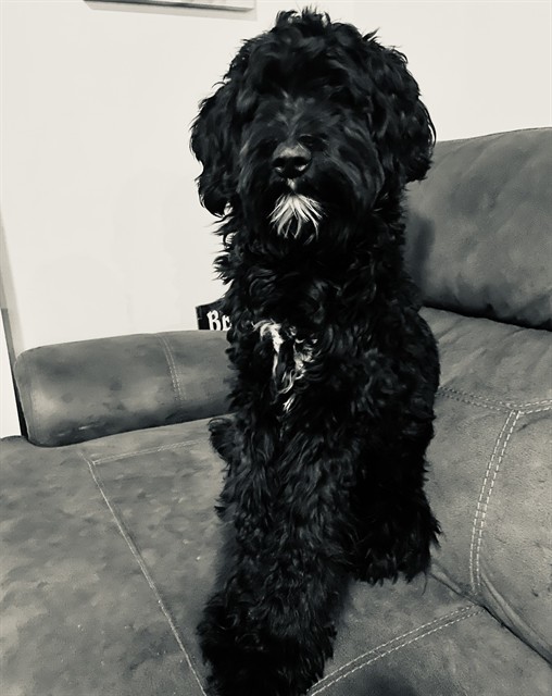 LUCY