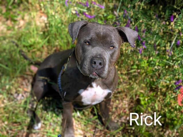 RICK