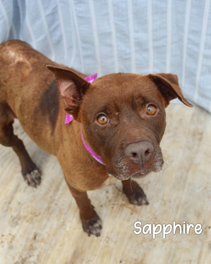 Sapphire