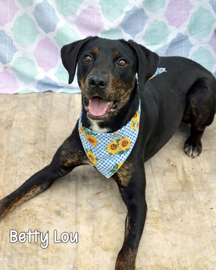 Betty Lou