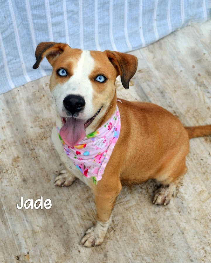 Jade