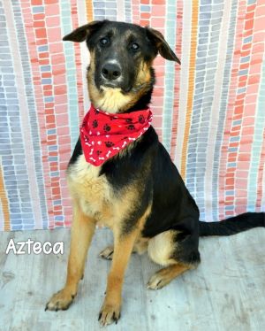 Azteca