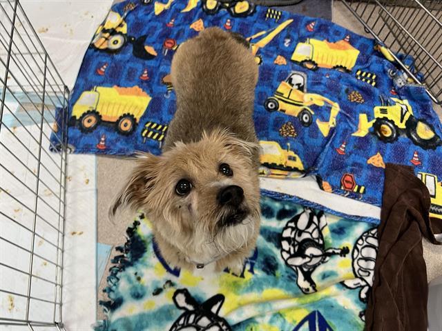 SAMMY