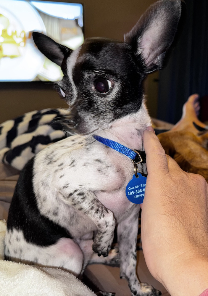 Maximus