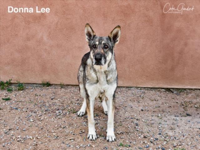 DONNA LEE
