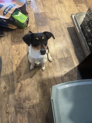 DAISY, Young Female unknown