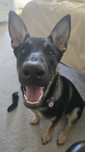 ROSIE