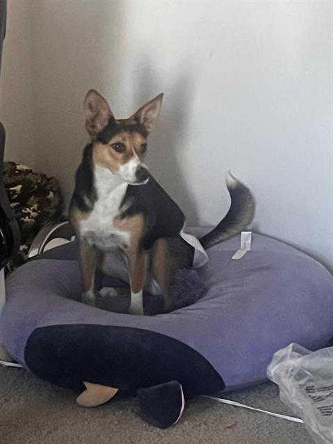 NALA
