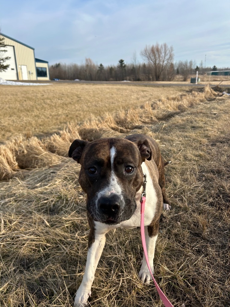 Lola