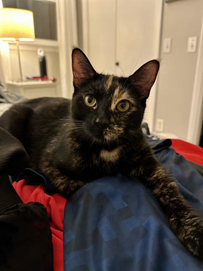 Frida