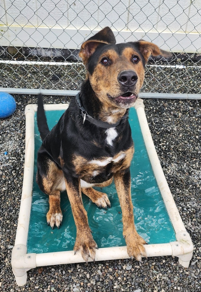 Ruby Roo