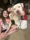 Sadie Mae photo 2