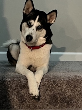 Gina