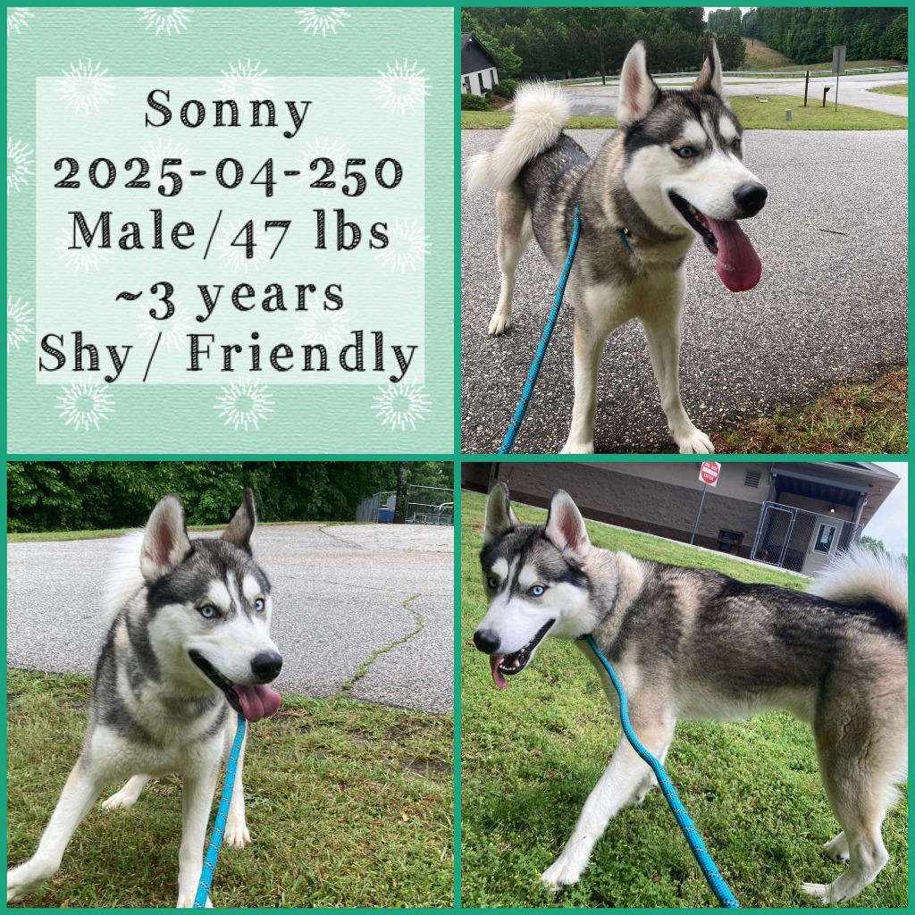 2025-04-250 *Sonny*
