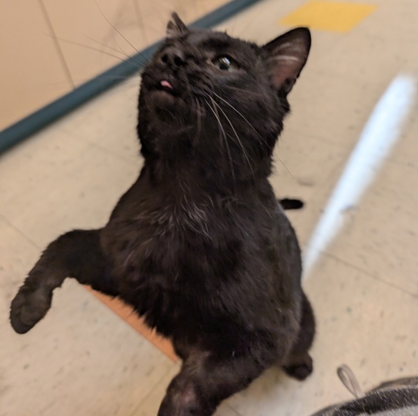 Binx