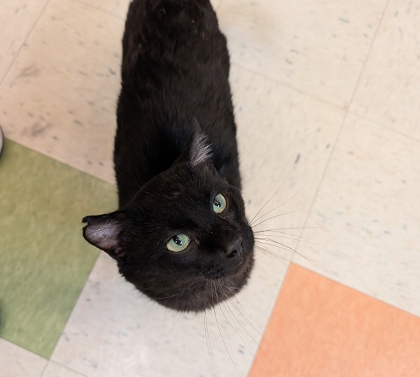 Binx