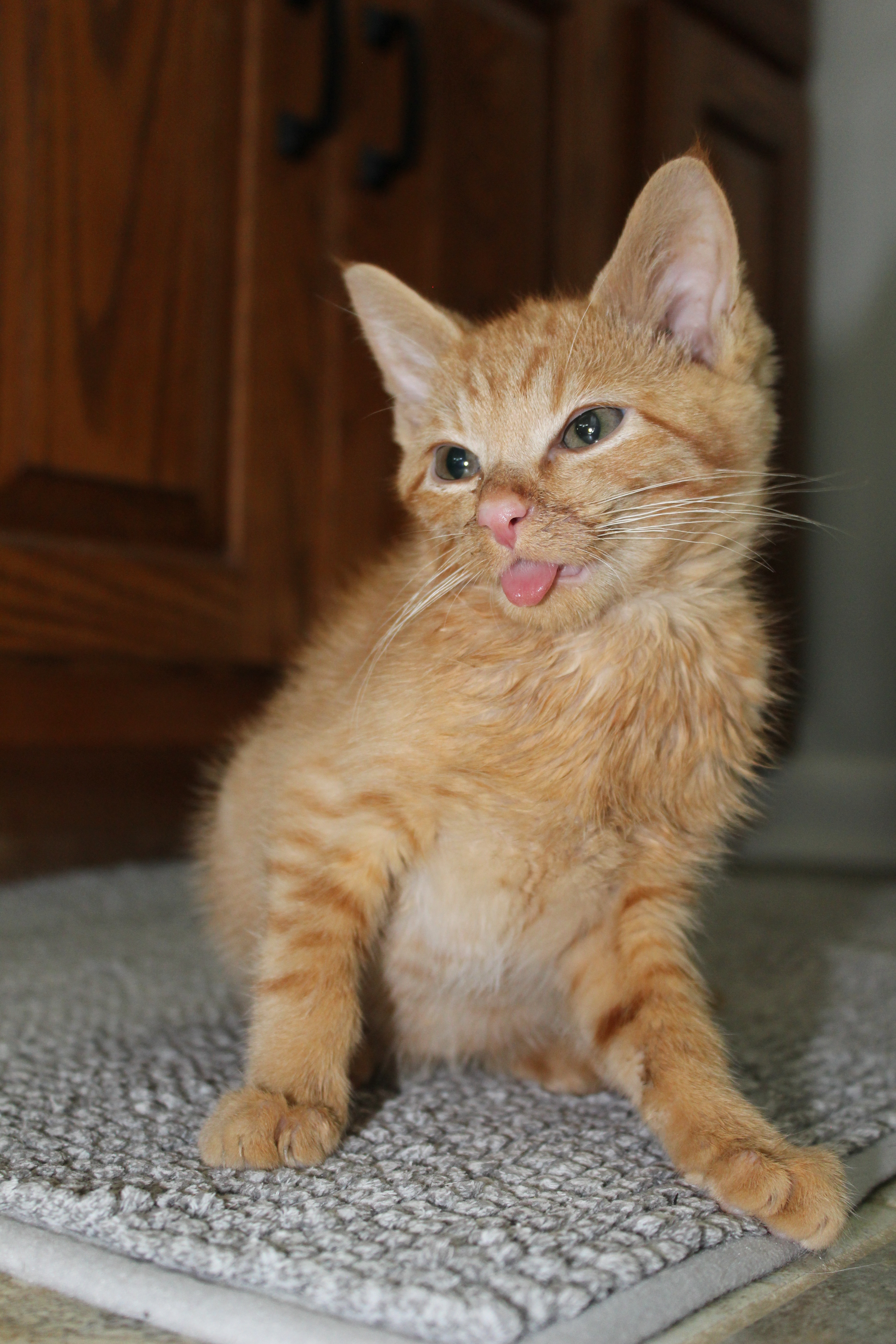 Perry