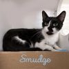 Smudge photo 2