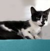 Smudge photo 3
