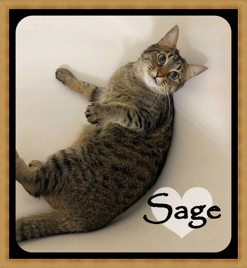 SAGE
