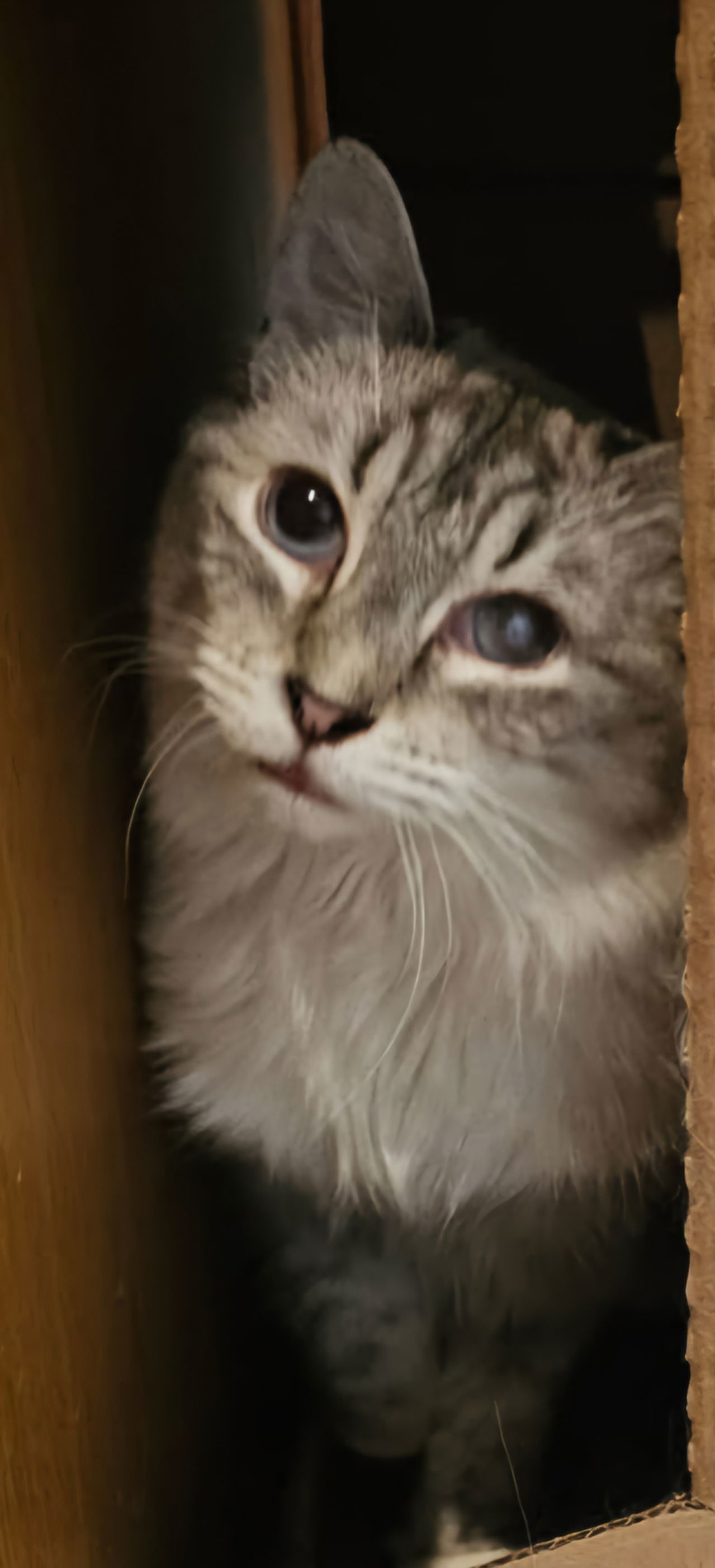 Stormie