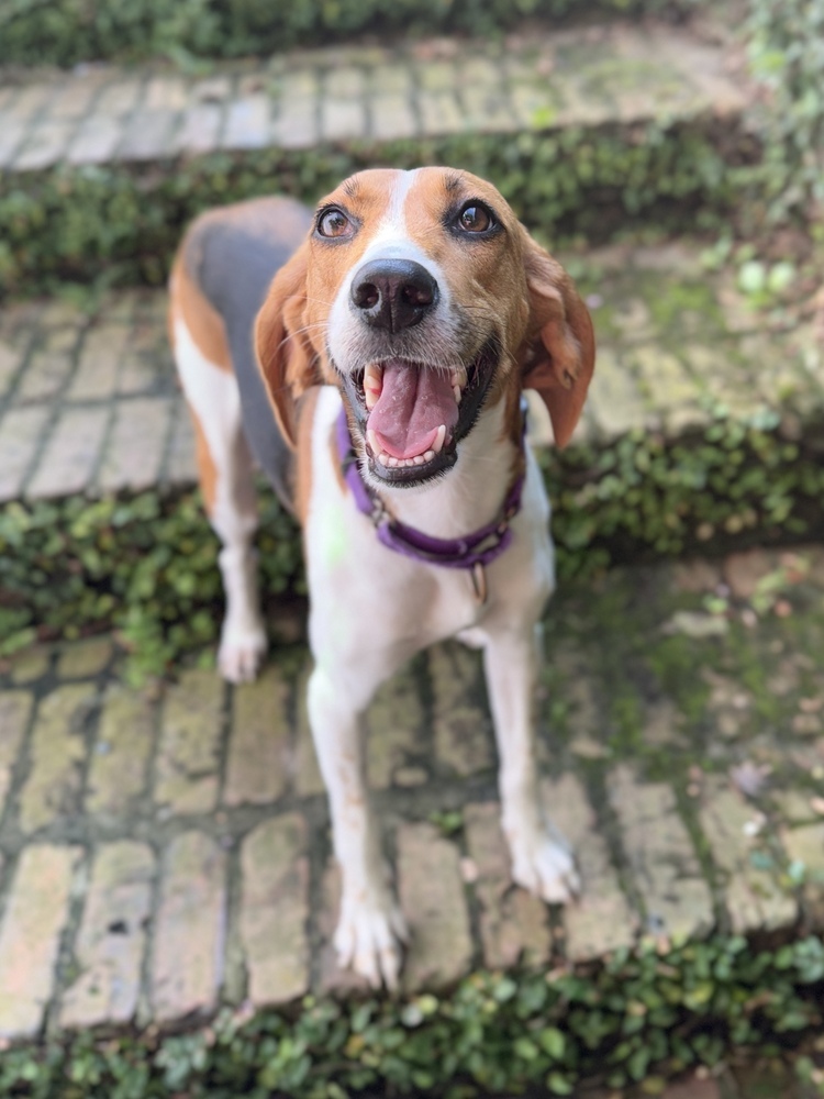Wilma Jean