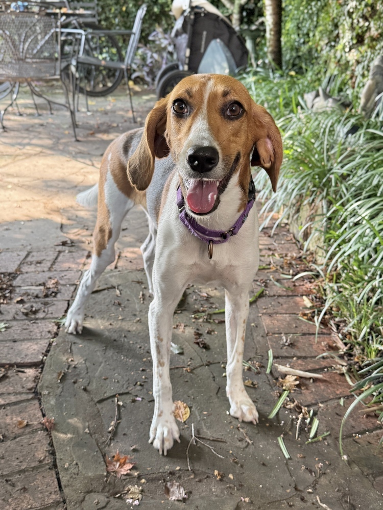 Wilma Jean
