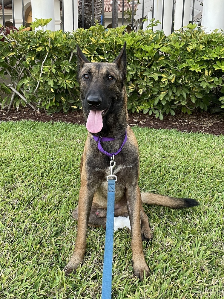 Baxter - Located in Florida