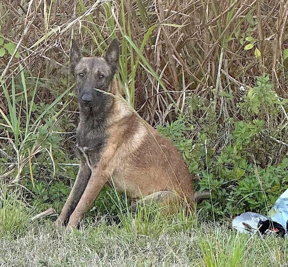 Baxter - Located in Florida
