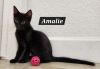 Amalie (bonded with Lily James) photo 2