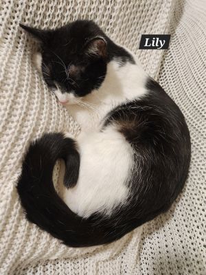 Lily James (bonded with Amalie), Young Female unknown