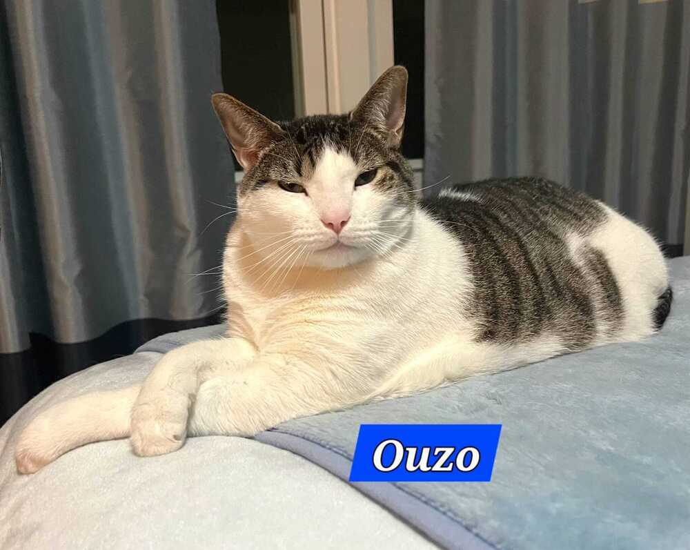 Ouzo