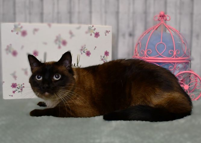 Lulu