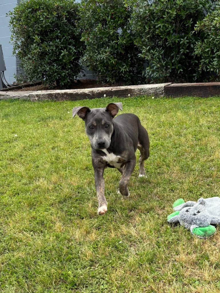 Zoey
