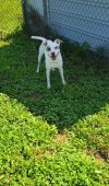 Zippy photo 4