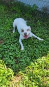 Zippy photo 6