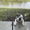 Ziggy photo 3