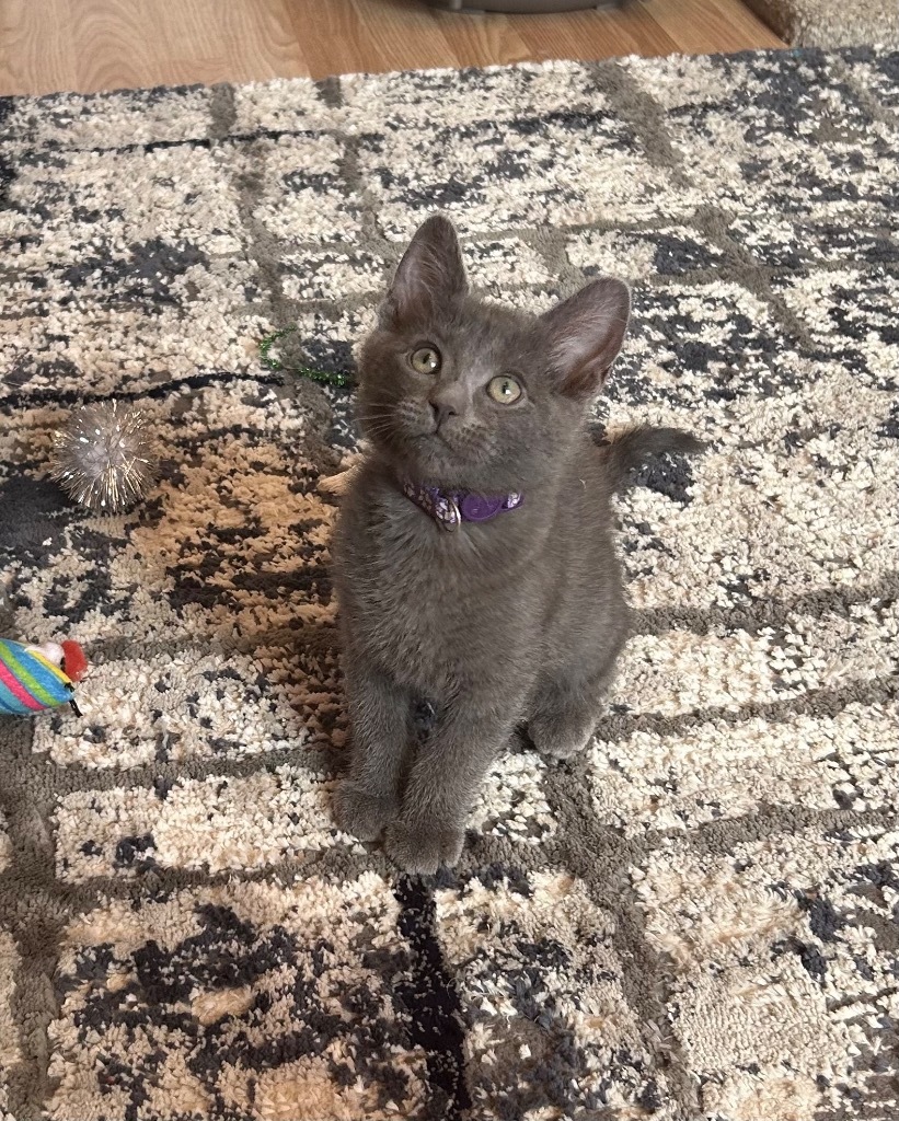 Mia