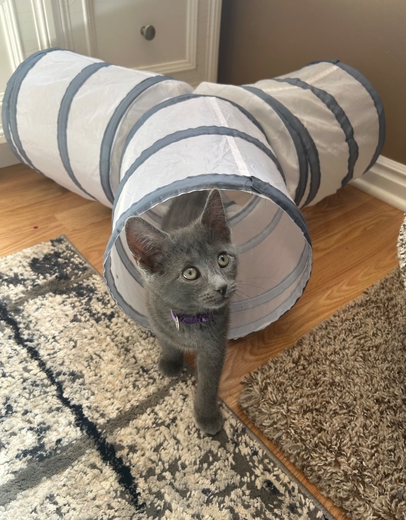 Mia