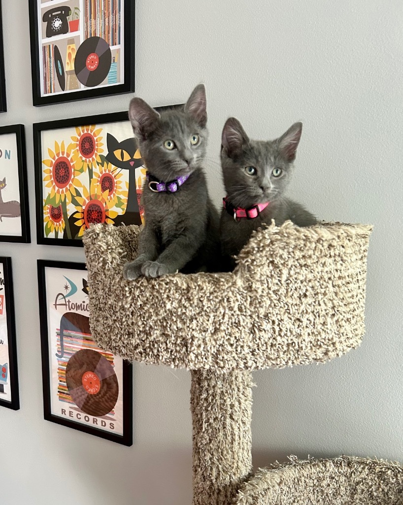 Mia