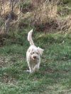 Winston photo 1