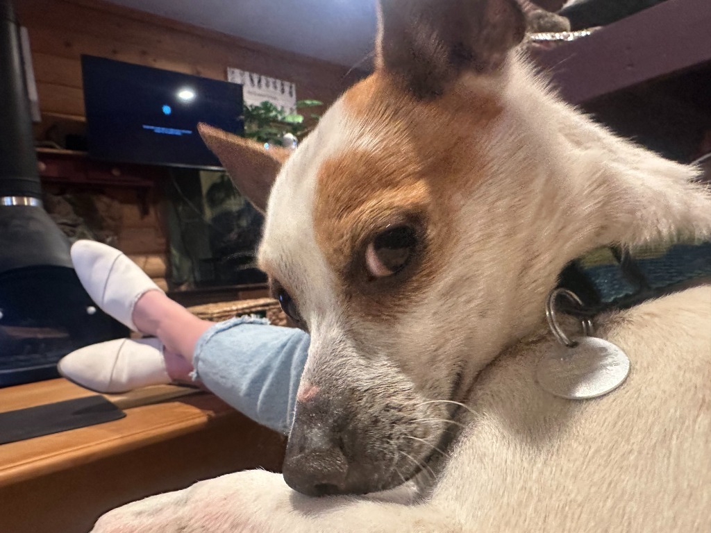 Nacho