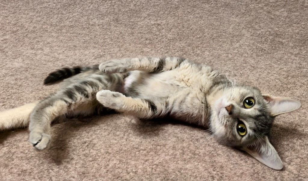 Skye