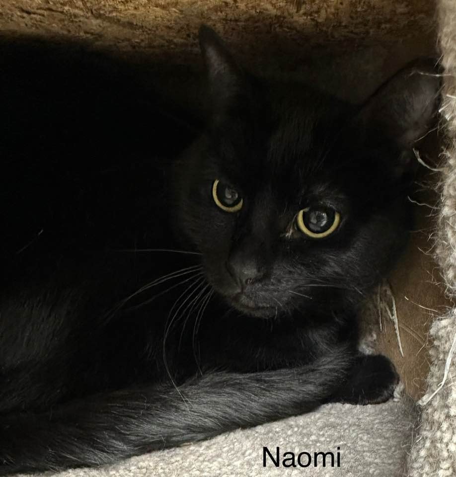 Naomi